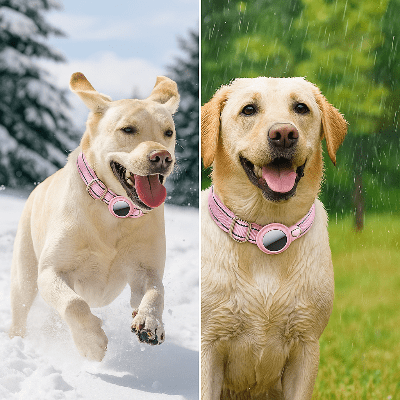 Collier anti fugue chien airtag réfléchissant multi saisons