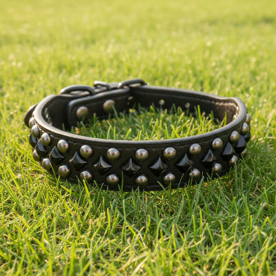 Collier chien cuir rivet argent noir