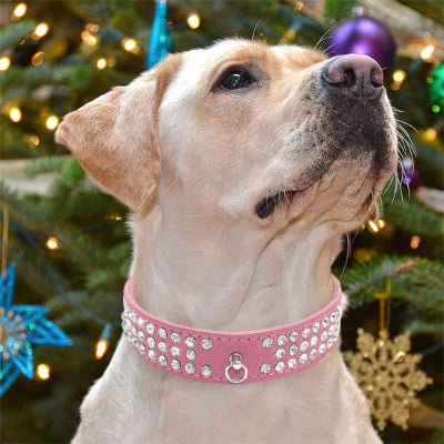 Collier cuir chien diamant rose labrador