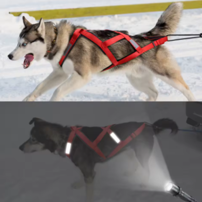 Harnais canicross rouge reflechissant