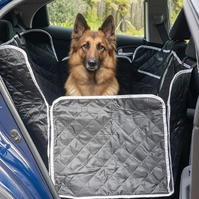 Housse voiture chien protection