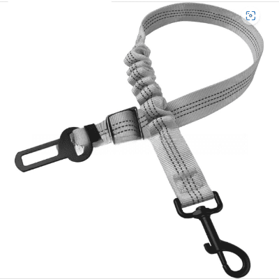 ceinture chien voiture gris