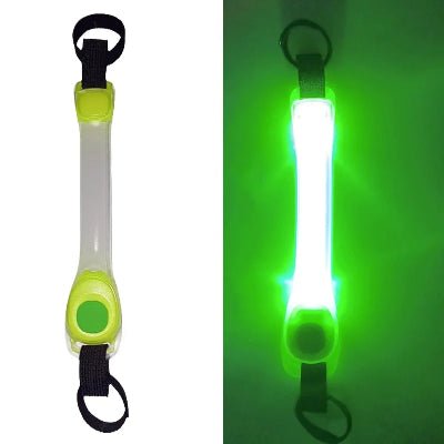 collier chien lumineux bande lumineuse vert