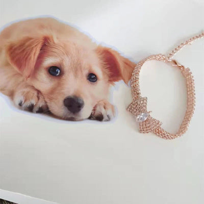 collier pour chien décoratif or rose demonstration