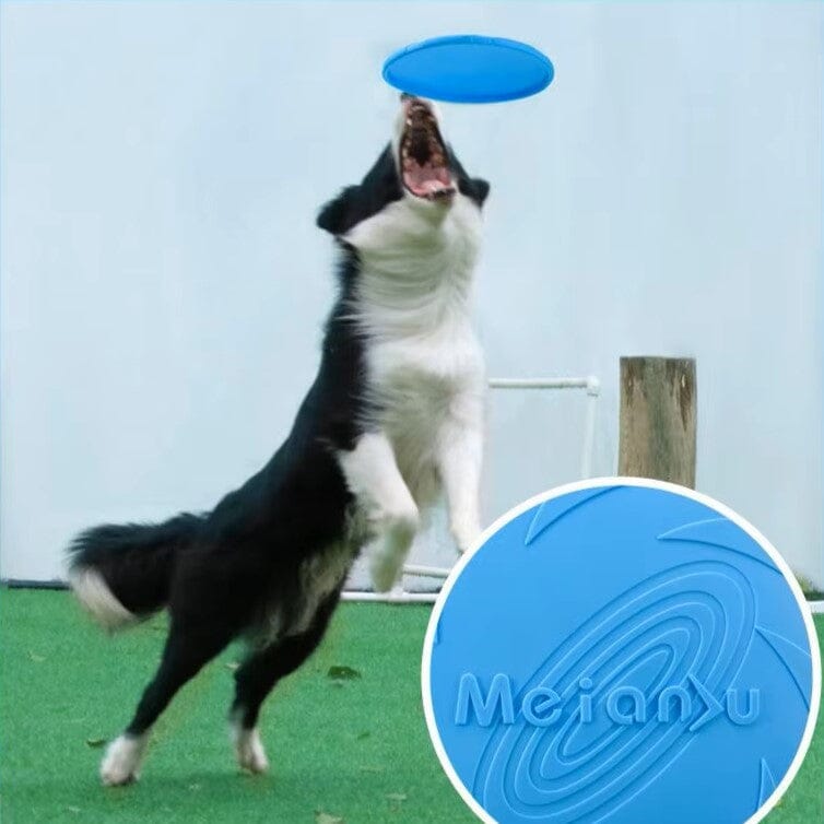 Frisbee pour Chien - FlyDog™ - Bleu - Chien à l'honneur