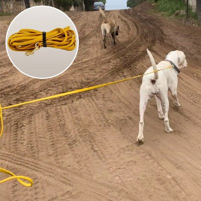 Longe pour chien | PVC 2 - Chien Ă l'honneur