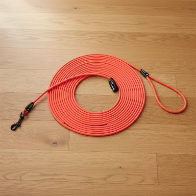 longes chien rouge variante