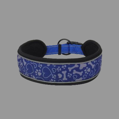 Collier reflechissant pour chienvVisioSafe bleu