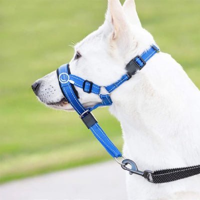 Harnais anti traction pour chien bleu berger blanc profil