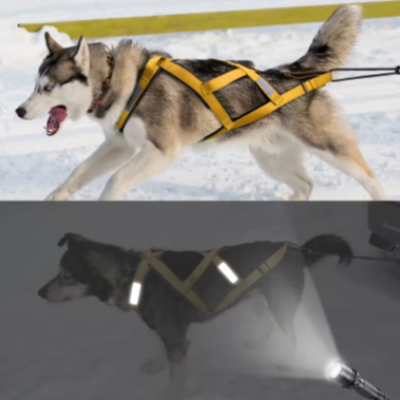 Harnais canicross jaune reflechissant