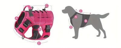 Harnais chien mesure