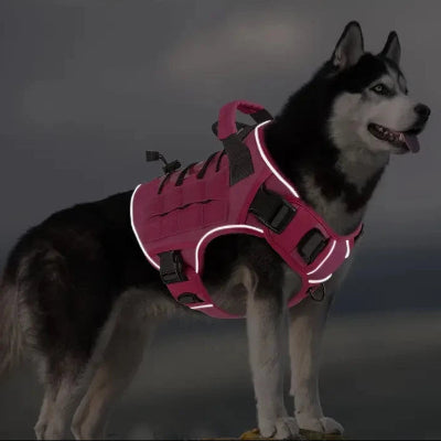 Harnais chien reflechissant