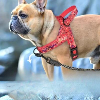 Harnais pour chien - DogSafeHarness™ Rouge attache avant