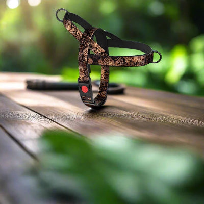 Harnais pour chien DogSafeHarness™ Noir Doré 