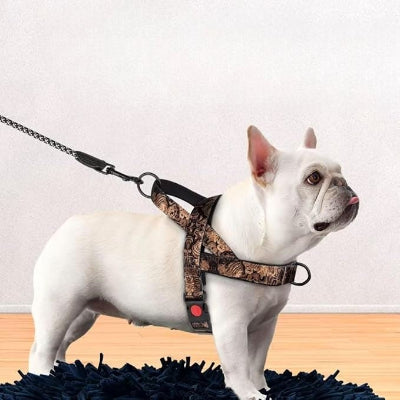 Harnais pour chien DogSafeHarness™ Noir Doré golden bouledogue francais blanc