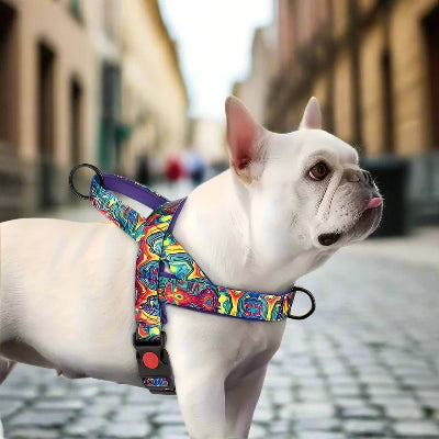 Harnais pour chien DogSafeHarness™ Violet sur bouledogue