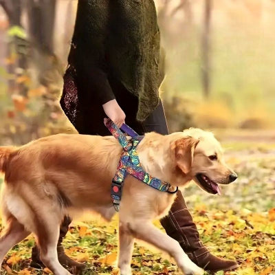 Harnais pour chien DogSafeHarness™ Violet sur golden