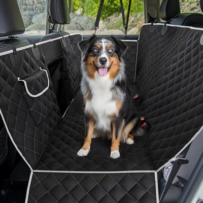 Housse voiture chien berger