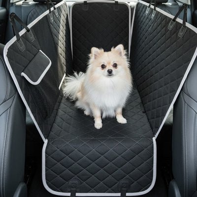 Housse voiture chien chihuahua