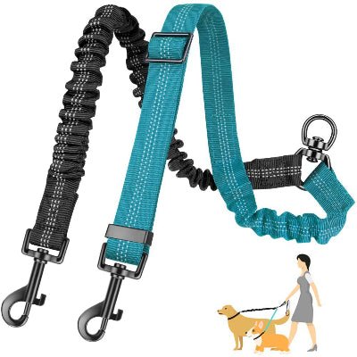Laisse double pour chien Bungee bleu