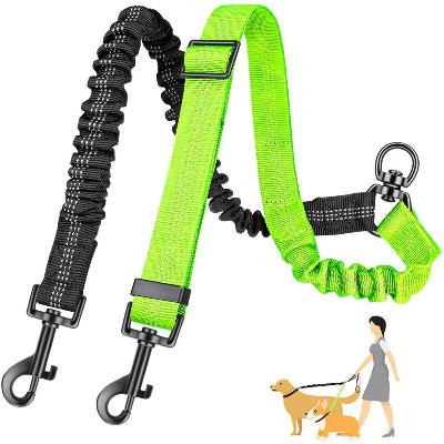 Laisse double pour chien Bungee vert clair