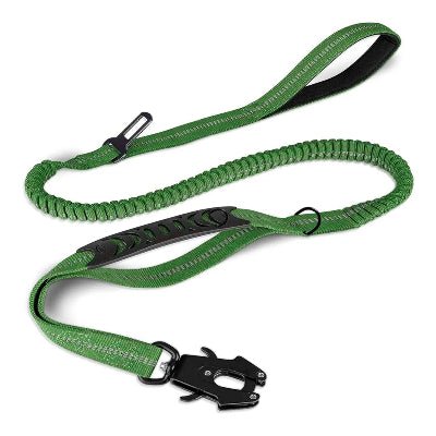 Laisse pour chien elastique 2 vert variante