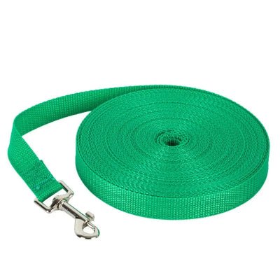 Longe pour chien nylon vert