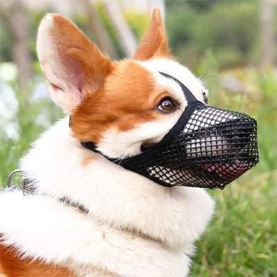 Museliere chien noir pratique