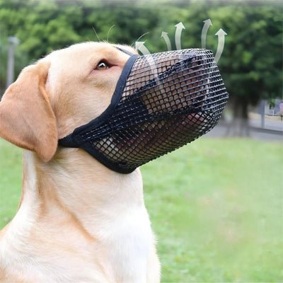 Museliere chien respirante