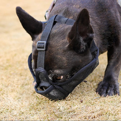 Museliere pour chien nylon