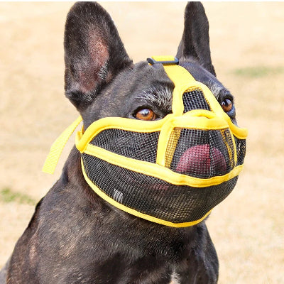 Museliere pour chien tenue parfaite