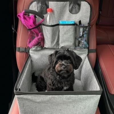 Siege auto pour chien avec rebord