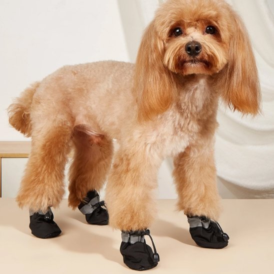 Bottes chien​ noir avec chien