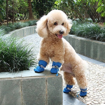 Bottes chien​ bleu en demo
