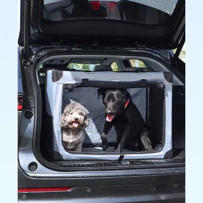 cage pour chien coffre