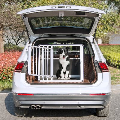 Caisse de transport chien securitaire