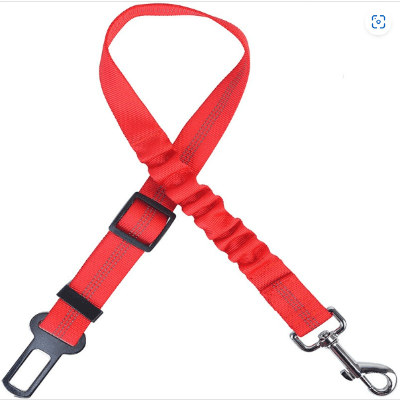 ceinture chien voiture rouge