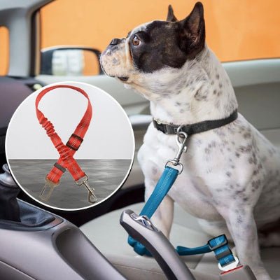 Ceinture chien voiture securitaire fiche