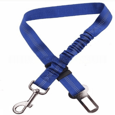 ceinture chien voiture bleu