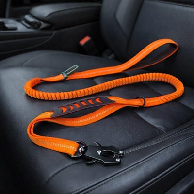 Ceinture de sécurité pour chien orange