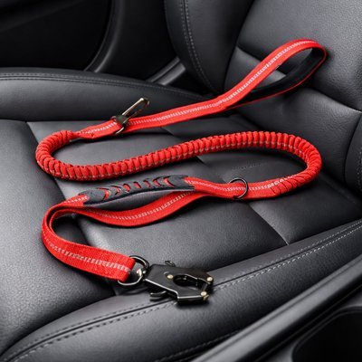 Ceinture de sécurité pour chien rouge