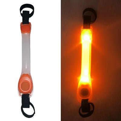 collier chien lumineux bande lumineuse  orange