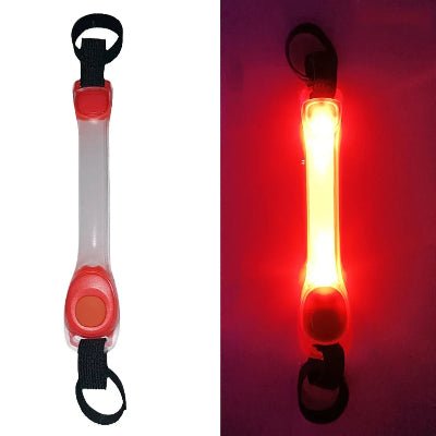 collier chien lumineux bande lumineuse  rouge