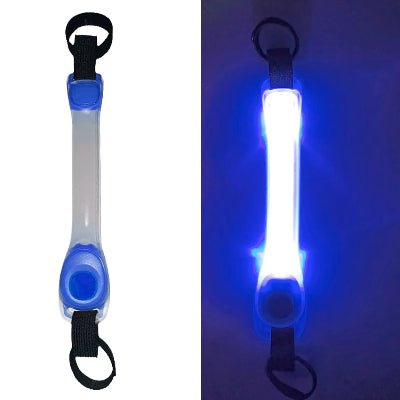 collier chien lumineux bande lumineuse  bleu