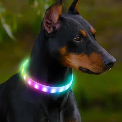 collier chien lumineux silicone doberman multicolor profil