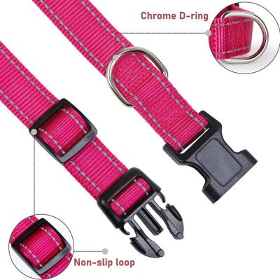 Collier chien | Réfléchissant couleur clair - Chien à l'honneur