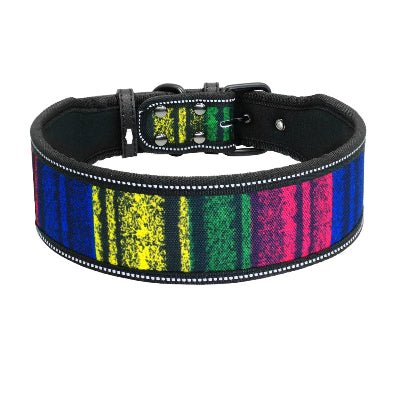 Collier chien | Reflective - Chien à l'honneur