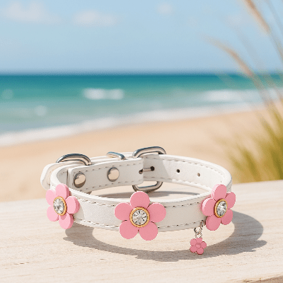 collier cuir chien blanc