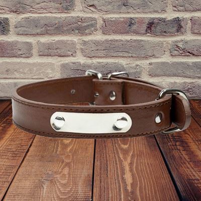 Collier de Chien - LeatherDogCollar™ - Marron - Chien à l'honneur