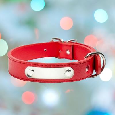 Collier de Chien - LeatherDogCollar™ - Rouge - Chien à l'honneur